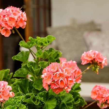Matjiesrivier  Blue Lily Retreat Bed & Breakfast エクステリア 写真