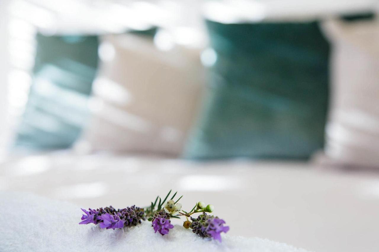 Matjiesrivier  Blue Lily Retreat Bed & Breakfast エクステリア 写真