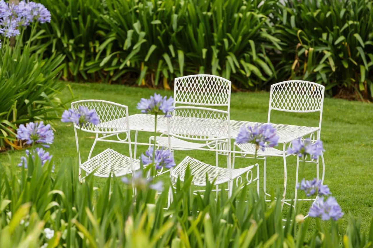 Matjiesrivier  Blue Lily Retreat Bed & Breakfast エクステリア 写真
