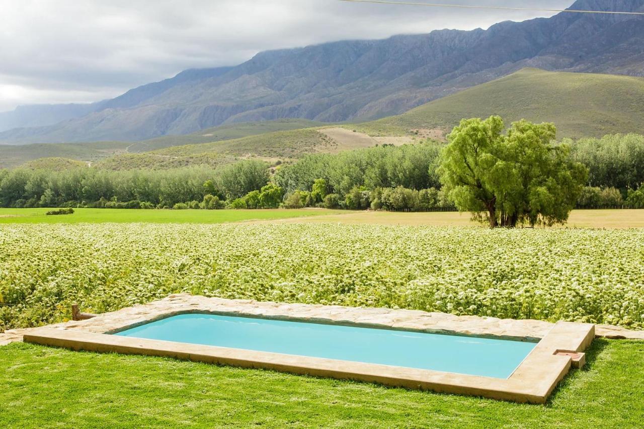 Matjiesrivier  Blue Lily Retreat Bed & Breakfast エクステリア 写真