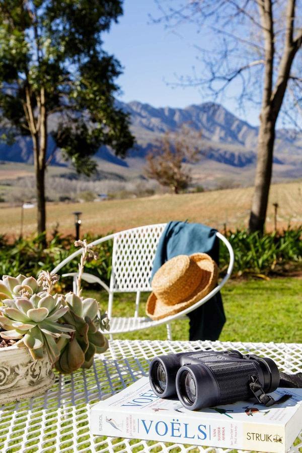 Matjiesrivier  Blue Lily Retreat Bed & Breakfast エクステリア 写真