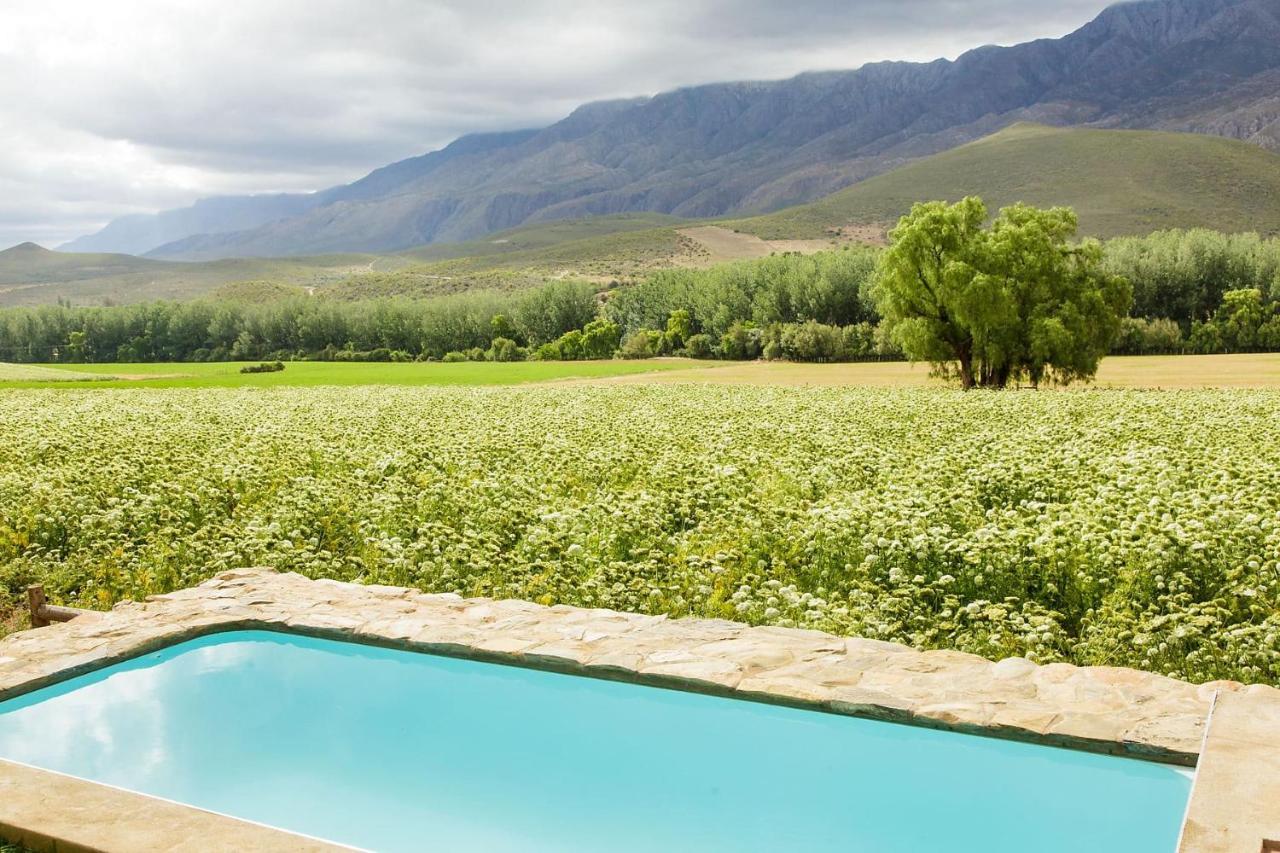 Matjiesrivier  Blue Lily Retreat Bed & Breakfast エクステリア 写真