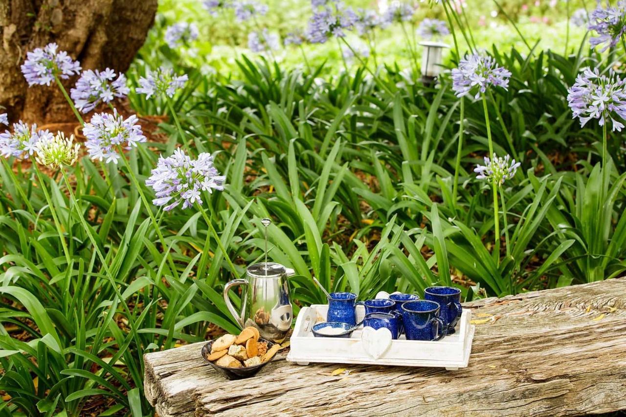 Matjiesrivier  Blue Lily Retreat Bed & Breakfast エクステリア 写真