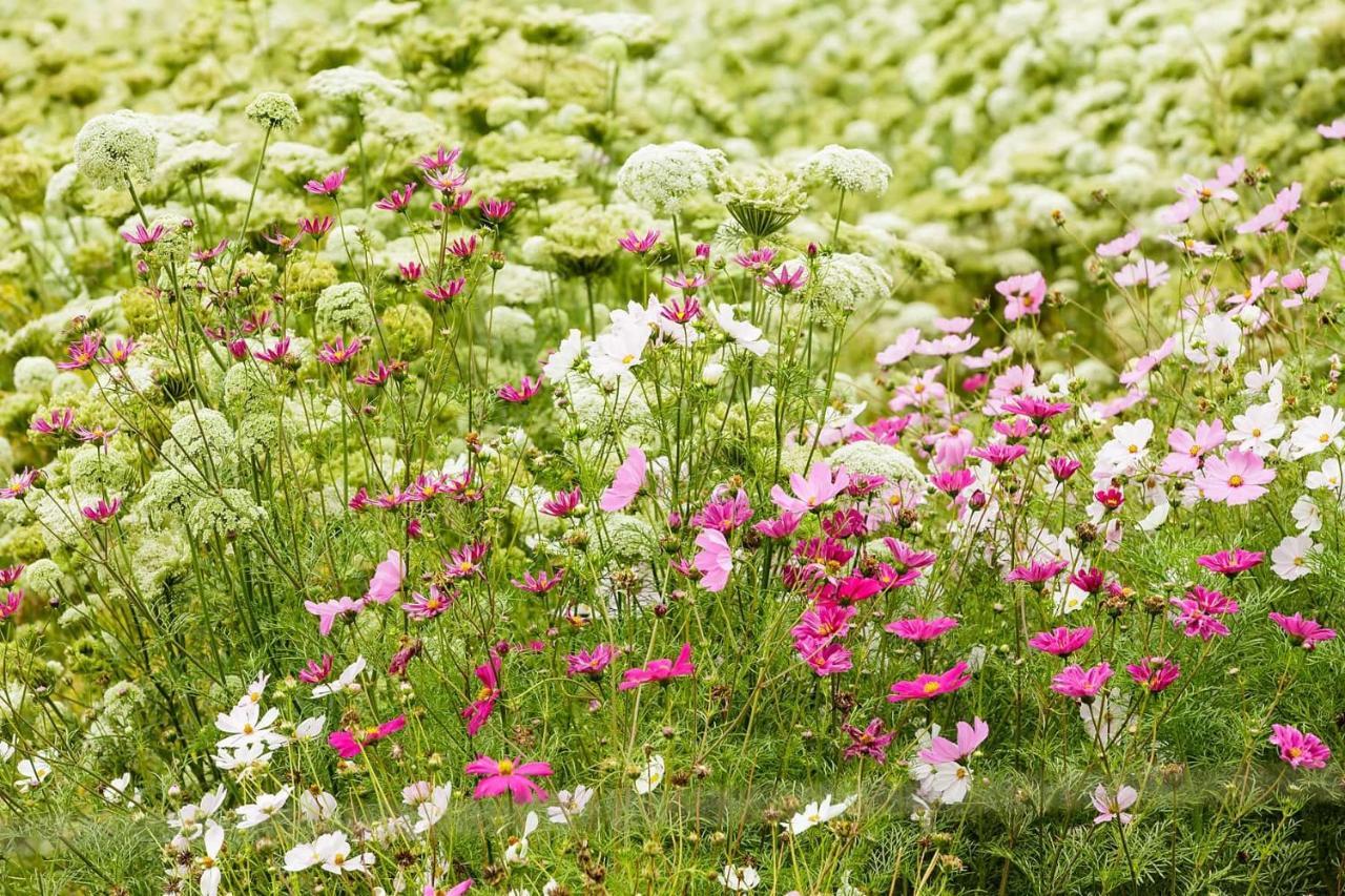 Matjiesrivier  Blue Lily Retreat Bed & Breakfast エクステリア 写真