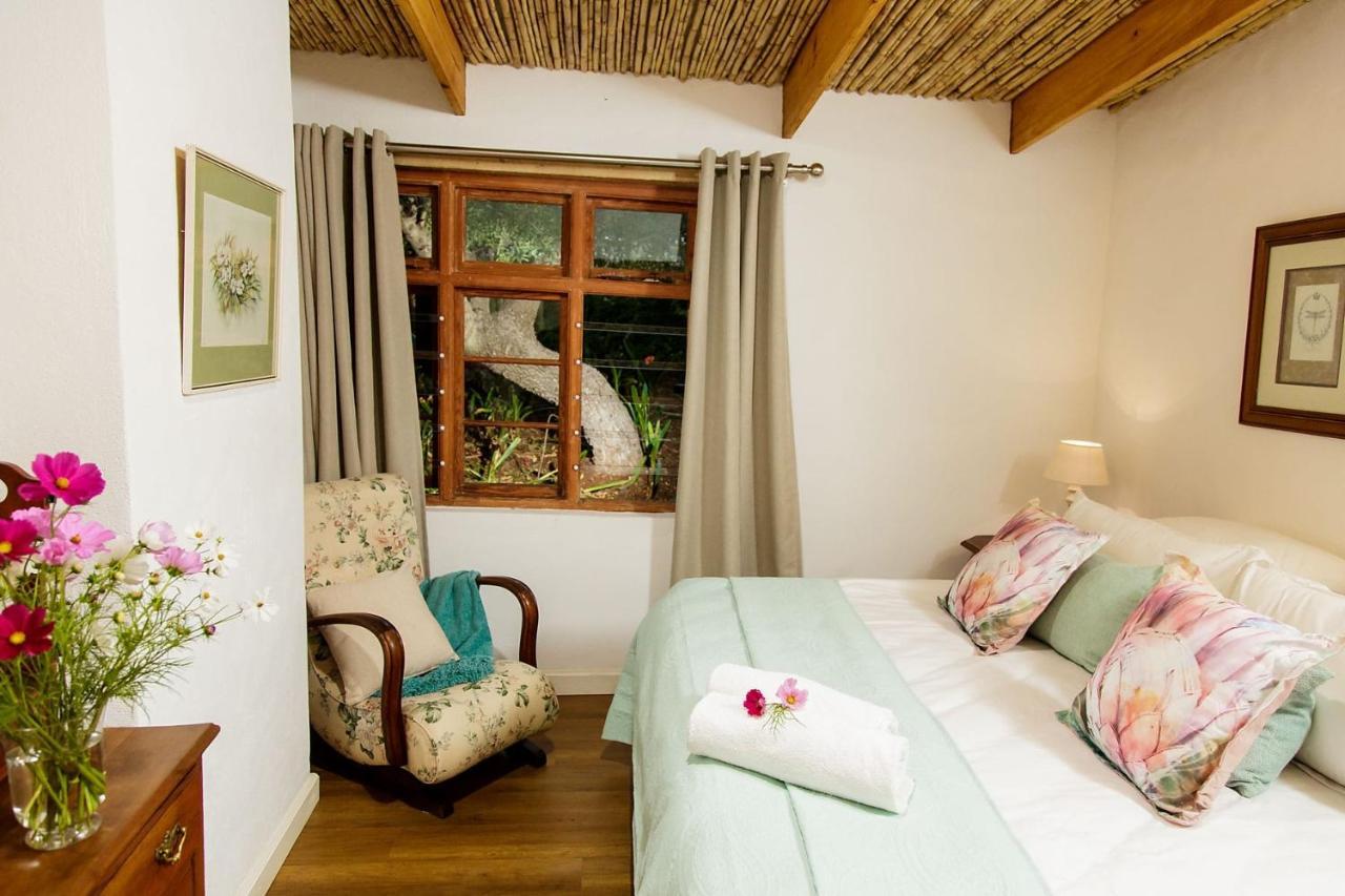 Matjiesrivier  Blue Lily Retreat Bed & Breakfast エクステリア 写真