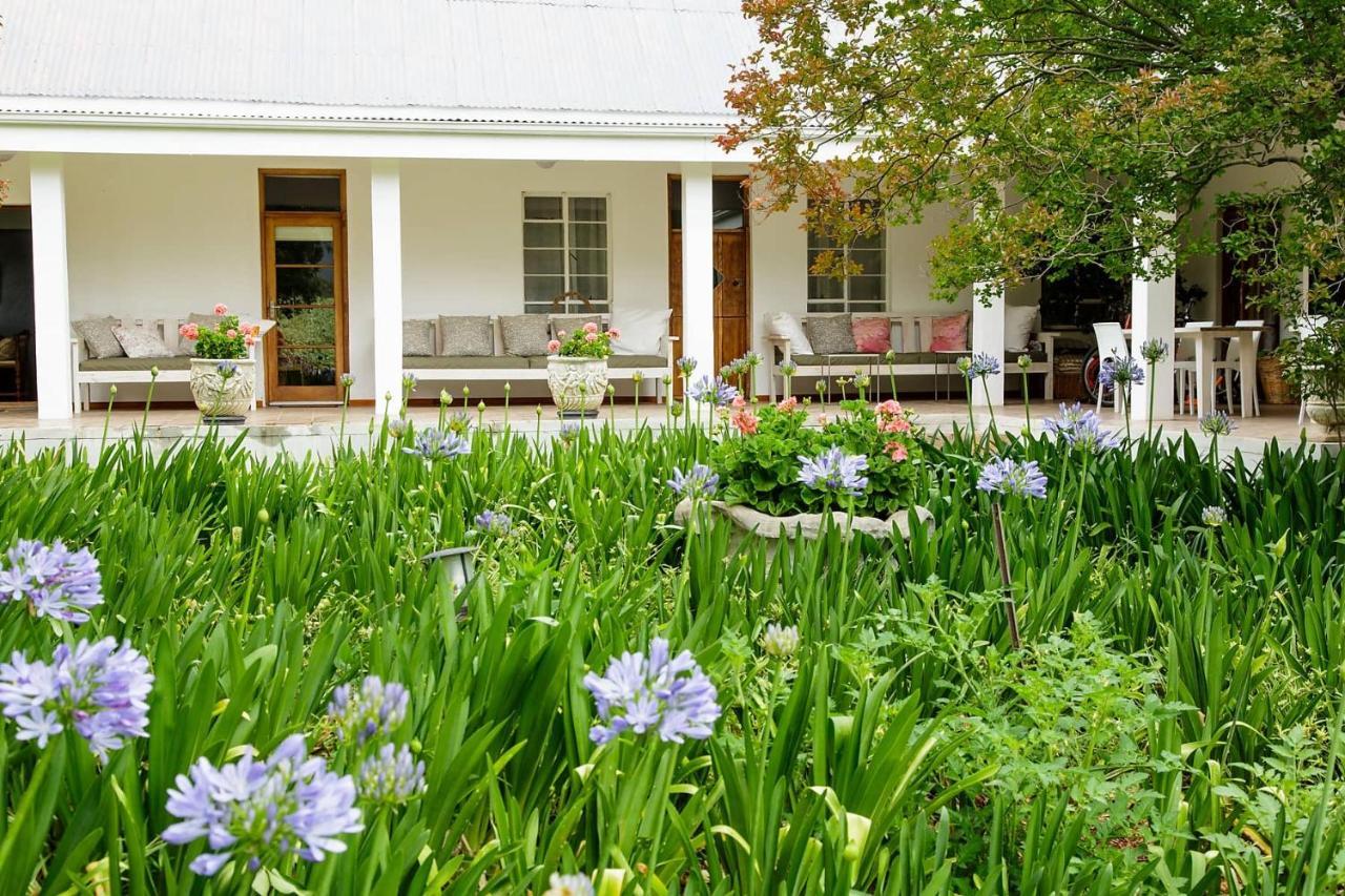 Matjiesrivier  Blue Lily Retreat Bed & Breakfast エクステリア 写真