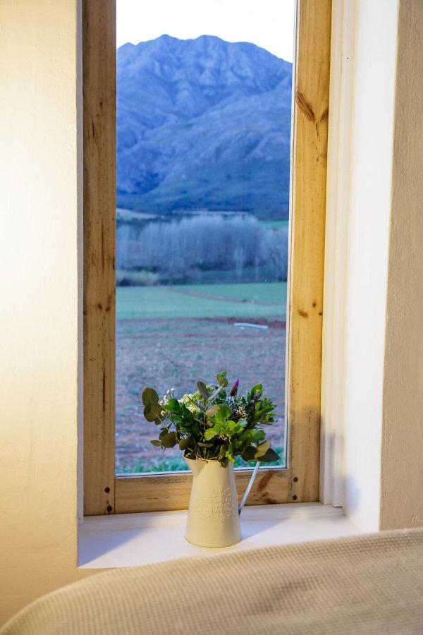 Matjiesrivier  Blue Lily Retreat Bed & Breakfast エクステリア 写真