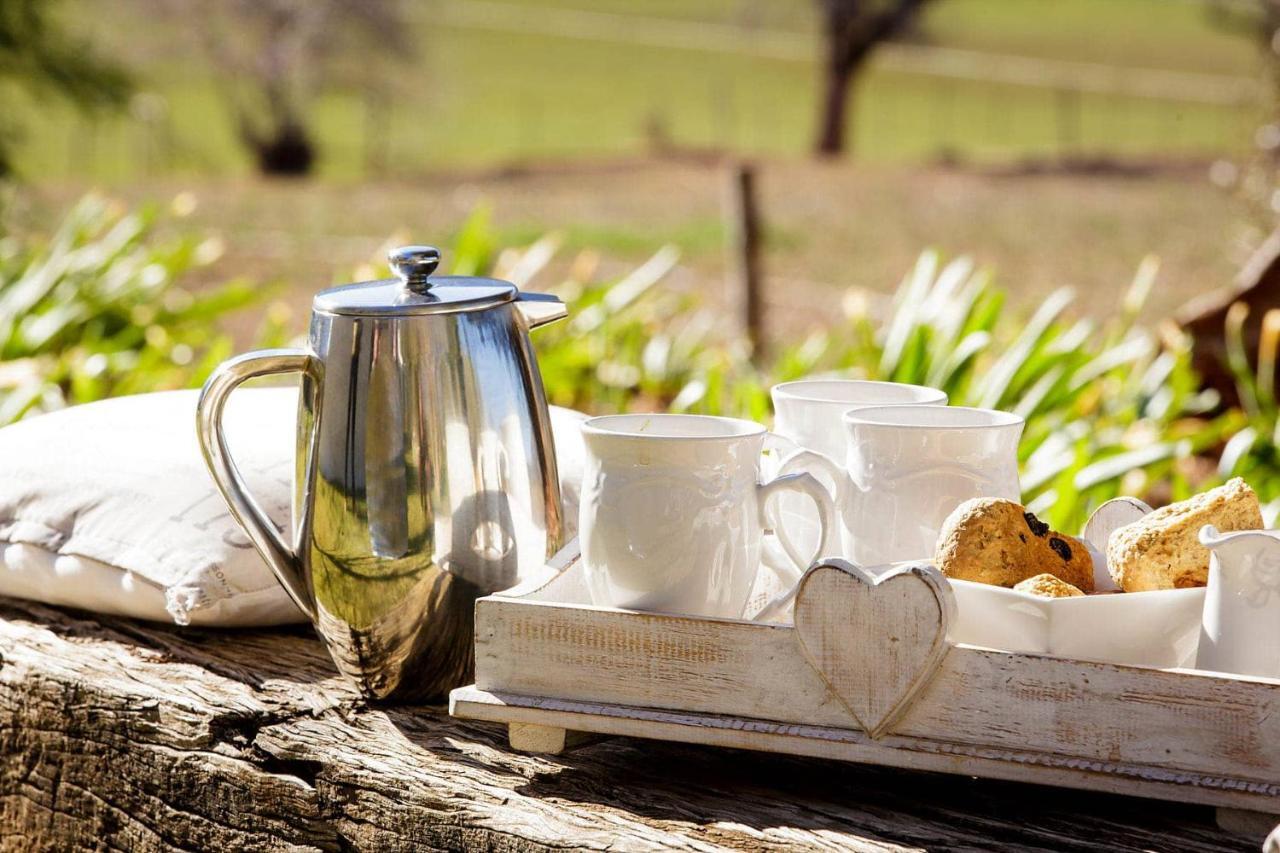 Matjiesrivier  Blue Lily Retreat Bed & Breakfast エクステリア 写真